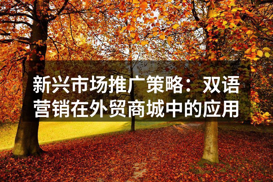 新兴市场推广策略：双语营销在外贸商城中的应用