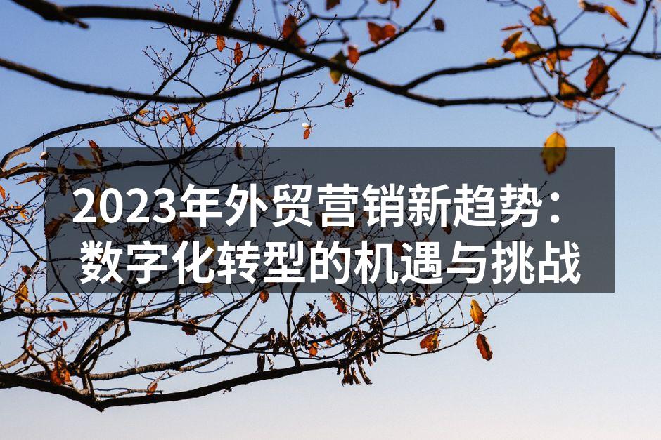 2023年外贸营销新趋势：数字化转型的机遇与挑战