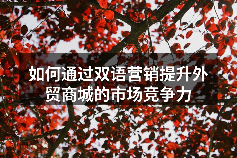 如何通过双语营销提升外贸商城的市场竞争力