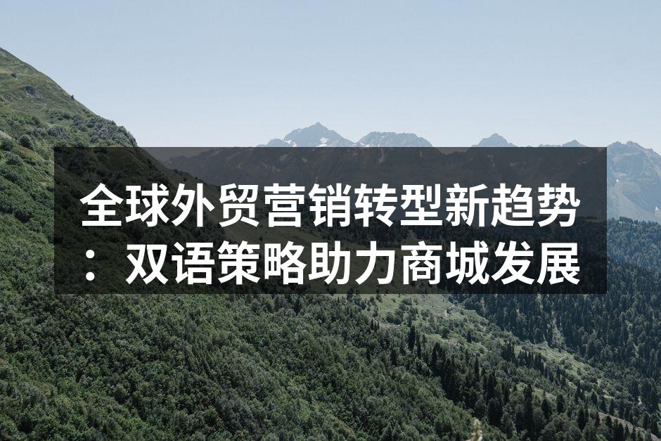 全球外贸营销转型新趋势：双语策略助力商城发展
