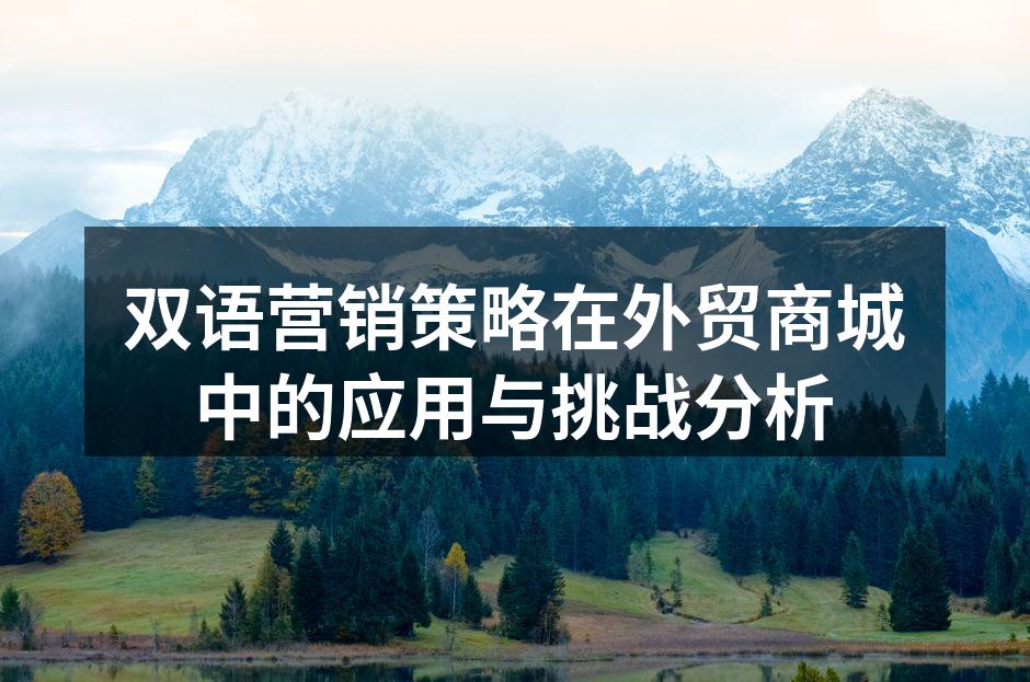 双语营销策略在外贸商城中的应用与挑战分析