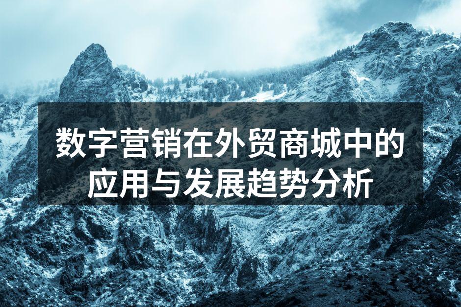 数字营销在外贸商城中的应用与发展趋势分析